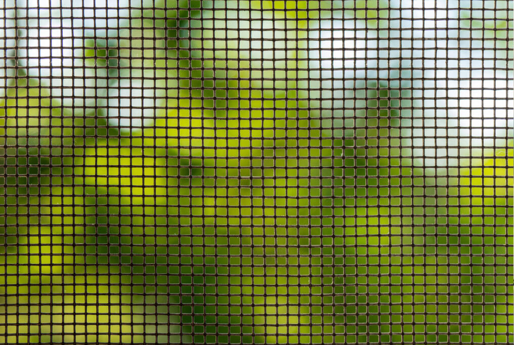 Screen Cleaning Services
